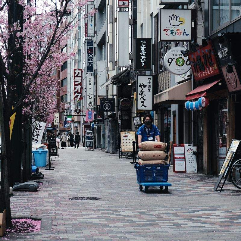 株式会社アクティブリンク・ジャパン 11